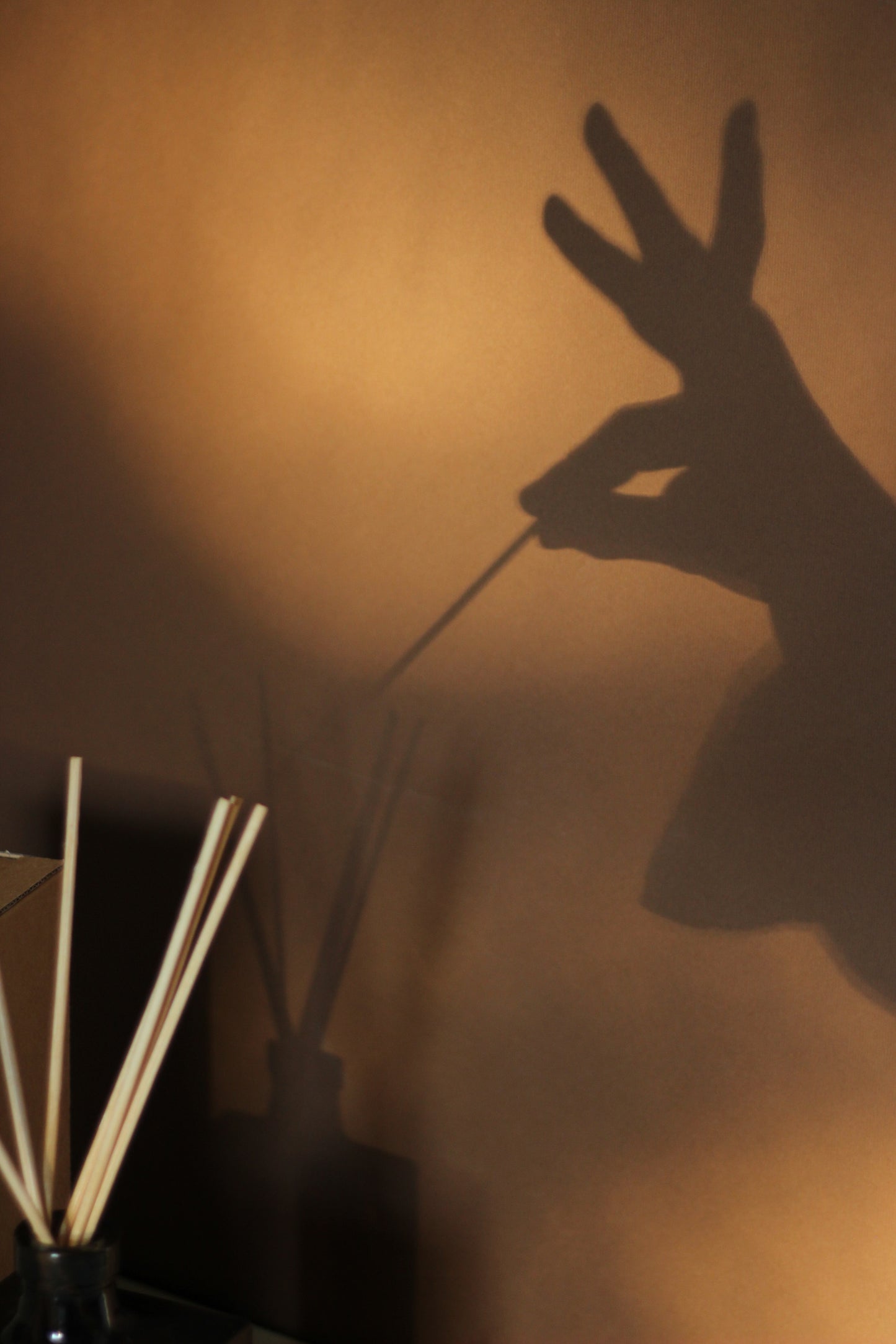 BASTONCINI DI RICAMBIO